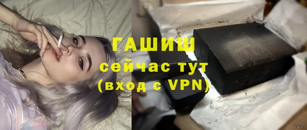 прущие грибы Балахна