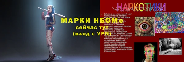 прущие грибы Балахна