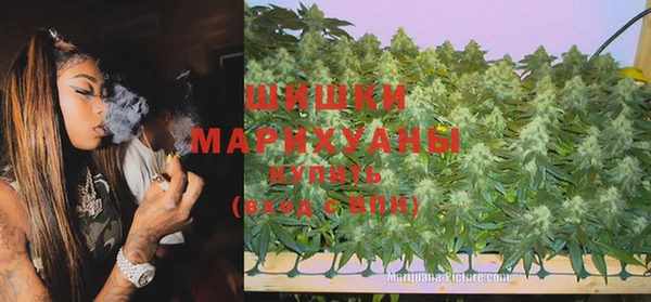 прущие грибы Балахна