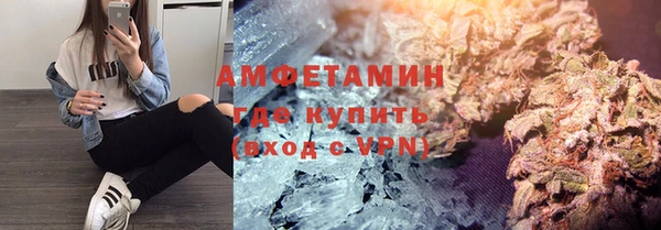 прущие грибы Балахна