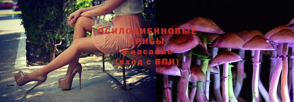 прущие грибы Балахна