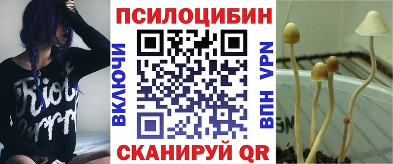 закладка МЕГА tor Галлюциногенные грибы Psilocybe Лыткарино